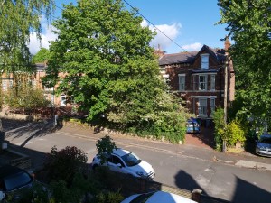 The view from Joe's upstairs flat includes tall leafy trees, large houses opposite and parked cars in driveways and on an empty road.