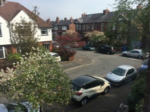 Linda's view from the bedroom includes the crab apple tree in blossom, parked cars and her neighbours's houses. There's a sharp bend in the road.