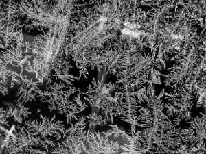 Ice patterns on the inside of a window, known as Jack Frost