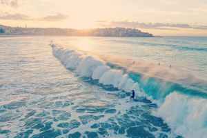  A view of a  very large wave green wave being ridden by surfers.  The sun is setting behind the headland of Manly Bay.