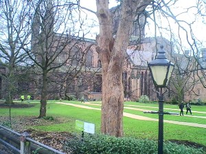 A view of Chester Cathedral through bare branched trees.  In the foreground there is an old-fashioned street lantern.  A few people are walking along the paths between the lawns in front of the cathedral.  They look tiny, which shows the huge scale of the cathedral in contrast.