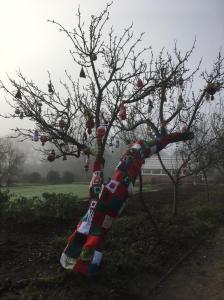 The tree is silhouetted against the grey sky, with a misty view of the garden beyond.  The red, green and white knitted squares are wrapped round the trunk of the tree and its two main branches.  Knitted baubles, Santas and Christmas trees hang off the bare branches.