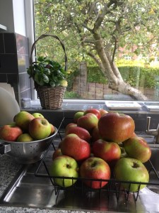 A large pile of washed, shiny red and green apples are on the draining board of the kitchen sink. The apple tree is visible through the window behind the sink.