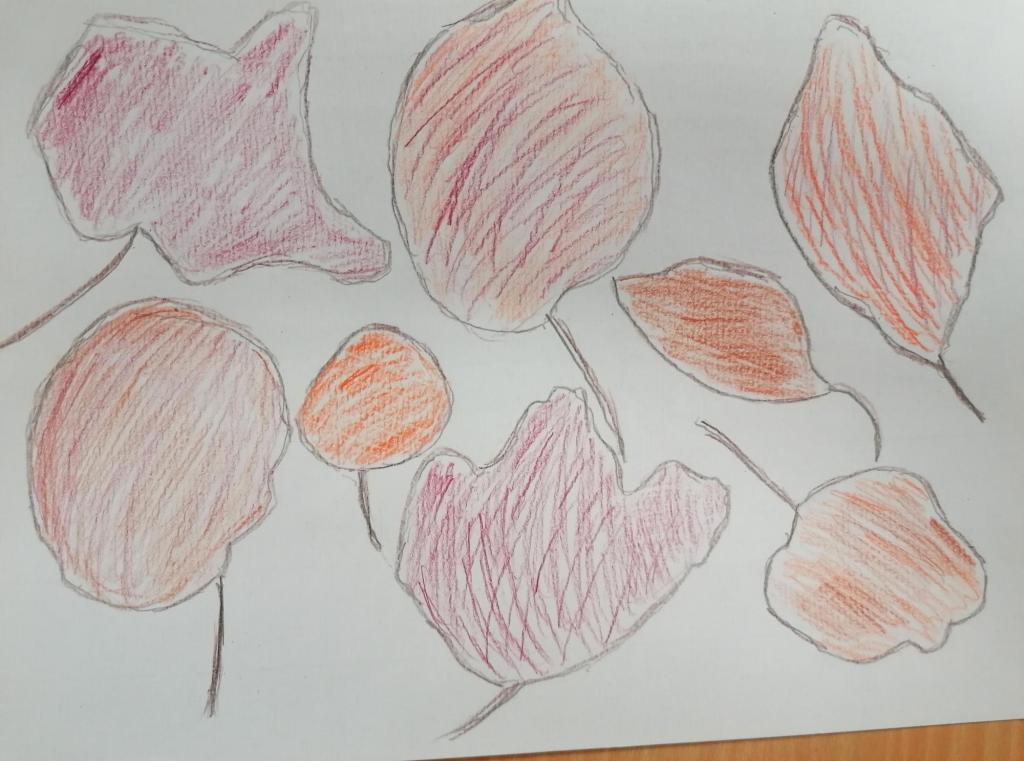 Drawings of autumn leaves