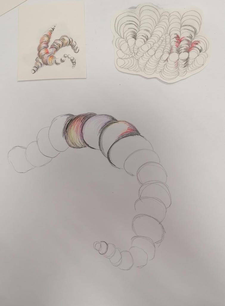 Designs based on worms