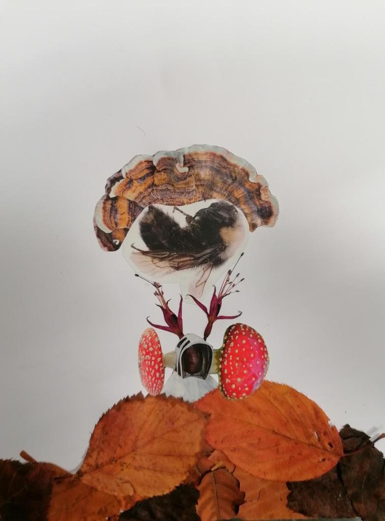 A design based on leaves, red and white spotted toadstools and fuchsia flowers 